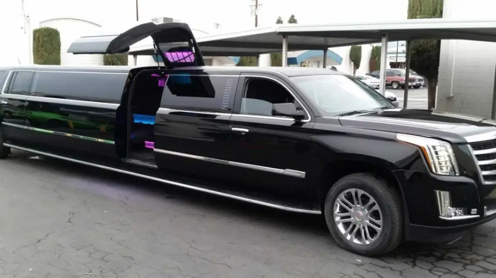 customize brewery tour bus