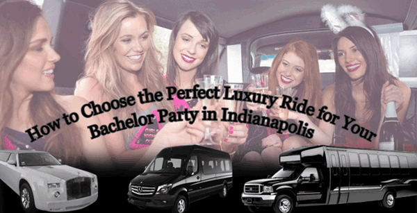 concert party bus guide