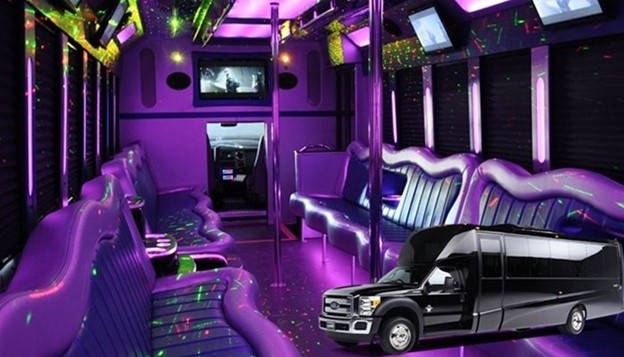 20 Passenger Party Bus